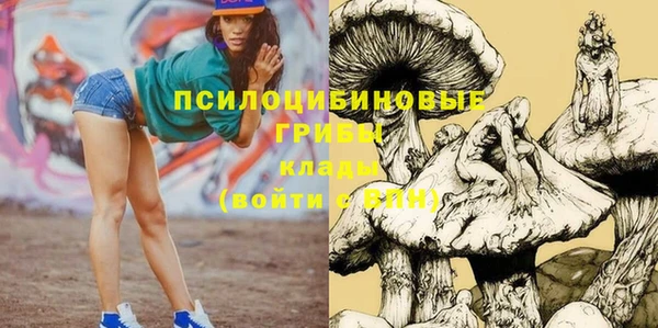 спайс Богданович
