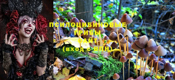 меф Богородицк