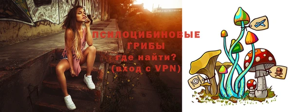 меф Богородицк