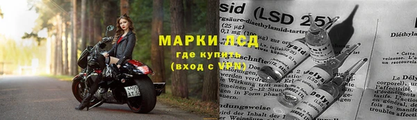 спайс Богданович