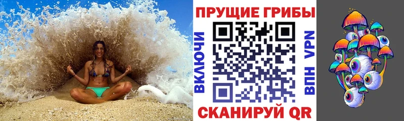 продажа наркотиков  Коряжма  ОМГ ОМГ как войти  Галлюциногенные грибы Psilocybine cubensis 