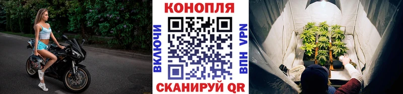 МАРИХУАНА план  Коряжма 